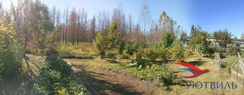 Бревенчатый дом в СНТ Ветеран в Орехово-Зуево - orekhovo-zuevo.yutvil.ru - фото 12