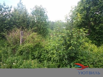 Земля в Станционном-Полевском в Орехово-Зуево - orekhovo-zuevo.yutvil.ru - фото 2