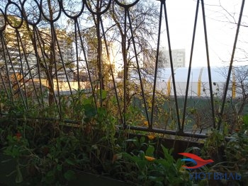 улица Калинина,31 в Орехово-Зуево - orekhovo-zuevo.yutvil.ru - фото 5