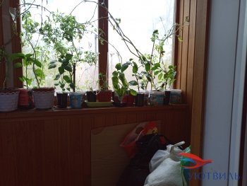 Восстания,58 в Орехово-Зуево - orekhovo-zuevo.yutvil.ru - фото 6 Восстания,58 в Орехово-Зуево - orekhovo-zuevo.yutvil.ru - фото 6