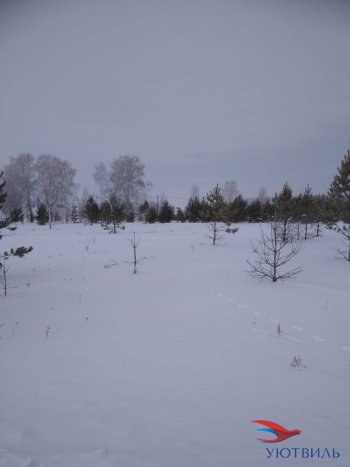 Земельный участок поселок Баженово в Орехово-Зуево - orekhovo-zuevo.yutvil.ru - фото 2