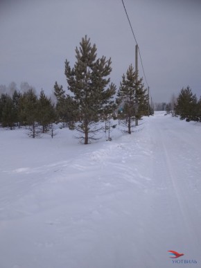 Баженово ул Южная д 7 в Орехово-Зуево - orekhovo-zuevo.yutvil.ru - фото 1