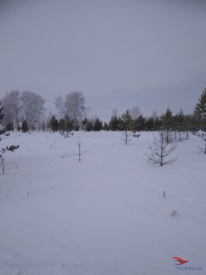Баженово ул Южная д 7 в Орехово-Зуево - orekhovo-zuevo.yutvil.ru - фото 2