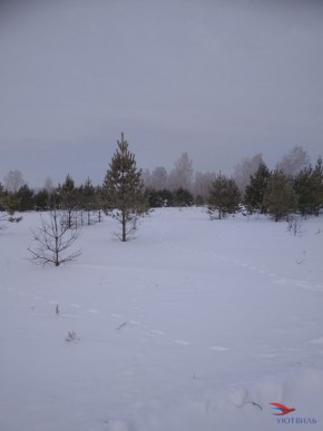 Баженово ул Южная д 7 в Орехово-Зуево - orekhovo-zuevo.yutvil.ru - фото 5