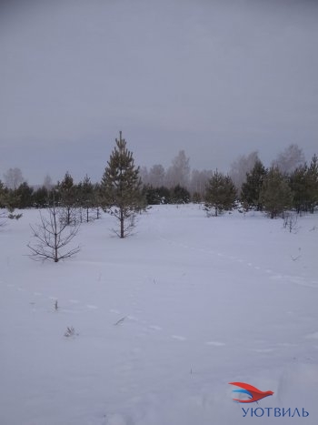 Земельный участок поселок Баженово в Орехово-Зуево - orekhovo-zuevo.yutvil.ru - фото 5