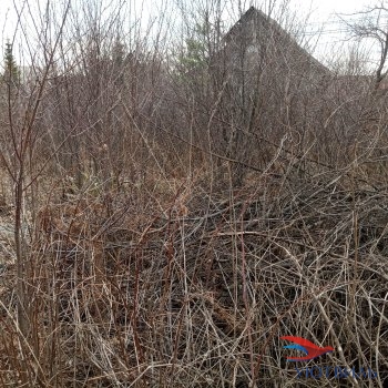 садовый участок в Дуброво-1 в Орехово-Зуево - orekhovo-zuevo.yutvil.ru - фото 3