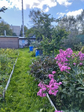 Коллективный сад номер 7, участок 58 в Орехово-Зуево - orekhovo-zuevo.yutvil.ru - фото 23