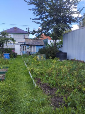 Коллективный сад номер 7, участок 58 в Орехово-Зуево - orekhovo-zuevo.yutvil.ru - фото 25