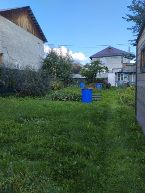 Коллективный сад номер 7, участок 58 в Орехово-Зуево - orekhovo-zuevo.yutvil.ru - фото 26