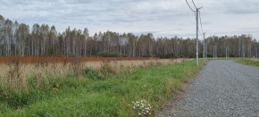 с. Новоалексеевское, КП Оникс,  в Орехово-Зуево - orekhovo-zuevo.yutvil.ru - фото 2