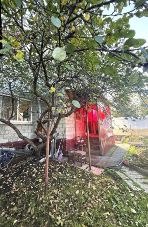 СНТ Дорожник, 97 в Орехово-Зуево - orekhovo-zuevo.yutvil.ru - фото 4