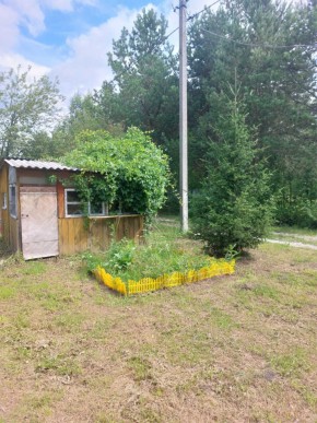СНТ Родники в Орехово-Зуево - orekhovo-zuevo.yutvil.ru - фото 1