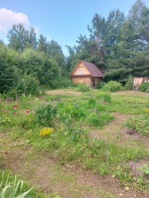 СНТ Родники в Орехово-Зуево - orekhovo-zuevo.yutvil.ru - фото 2