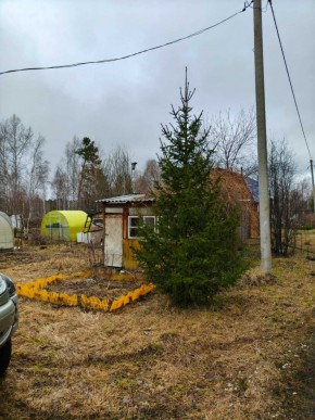 СНТ Родники в Орехово-Зуево - orekhovo-zuevo.yutvil.ru - фото 5