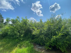 СПК Юбилейный, уч. 9 в Орехово-Зуево - orekhovo-zuevo.yutvil.ru - фото 15 СПК Юбилейный, уч. 9 в Орехово-Зуево - orekhovo-zuevo.yutvil.ru - фото 15