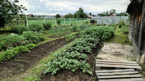 ул. 8-е Марта,46 в Орехово-Зуево - orekhovo-zuevo.yutvil.ru - фото 8