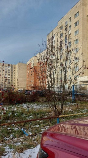 ул. Даниловская,5 в Орехово-Зуево - orekhovo-zuevo.yutvil.ru