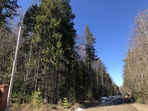 ул. Калиновая,9 в Орехово-Зуево - orekhovo-zuevo.yutvil.ru - фото 4
