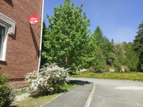 ул. Сосновая, 8 в Орехово-Зуево - orekhovo-zuevo.yutvil.ru - фото 25