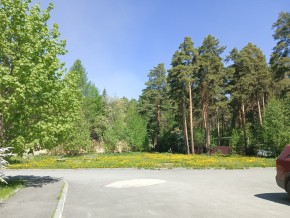 ул. Сосновая, 8 в Орехово-Зуево - orekhovo-zuevo.yutvil.ru - фото 26