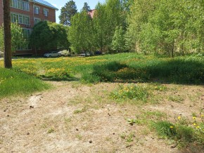 ул. Сосновая, 8 в Орехово-Зуево - orekhovo-zuevo.yutvil.ru - фото 33